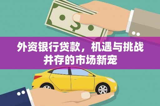 行唐外资银行贷款，机遇与挑战并存的市场新宠