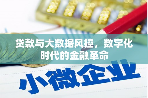 行唐贷款与大数据风控，数字化时代的金融革命