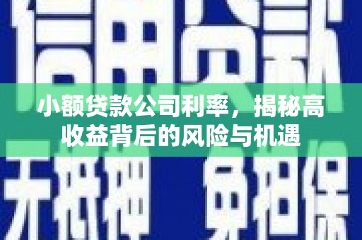 行唐小额贷款公司利率，揭秘高收益背后的风险与机遇
