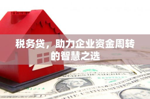 行唐税务贷，助力企业资金周转的智慧之选