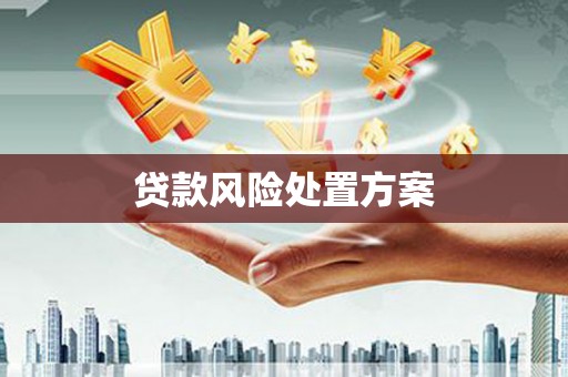 行唐贷款风险处置方案