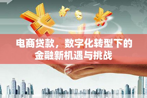 行唐电商贷款，数字化转型下的金融新机遇与挑战