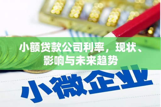 行唐小额贷款公司利率，现状、影响与未来趋势