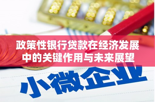 行唐政策性银行贷款在经济发展中的关键作用与未来展望