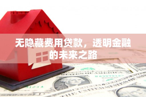 行唐无隐藏费用贷款，透明金融的未来之路