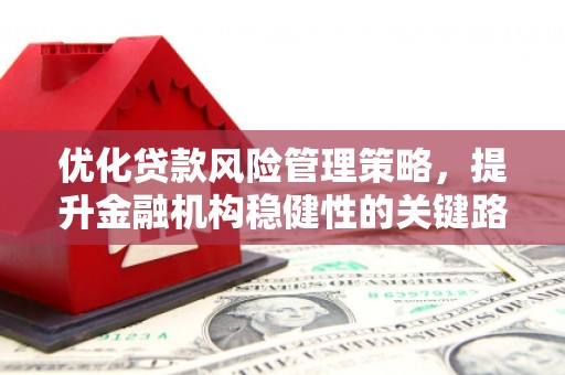 行唐优化贷款风险管理策略，提升金融机构稳健性的关键路径