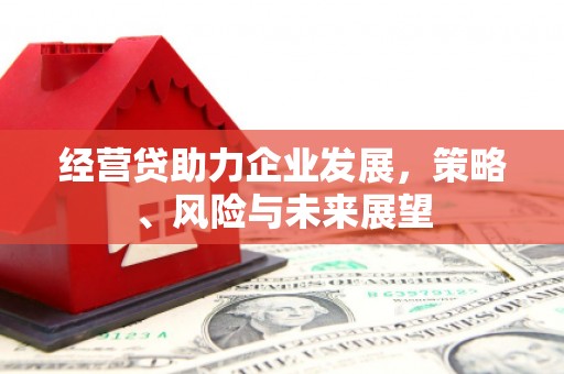 行唐经营贷助力企业发展，策略、风险与未来展望
