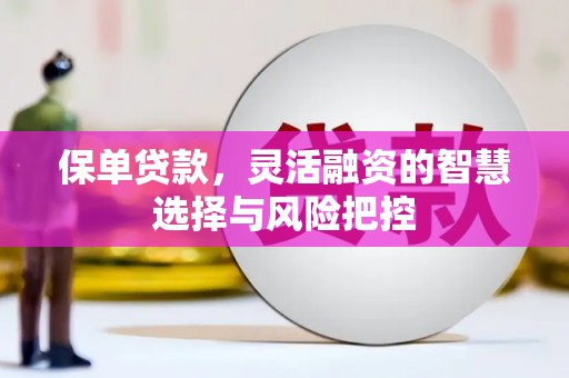 行唐保单贷款，灵活融资的智慧选择与风险把控
