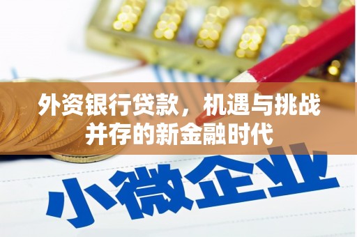 行唐外资银行贷款，机遇与挑战并存的新金融时代