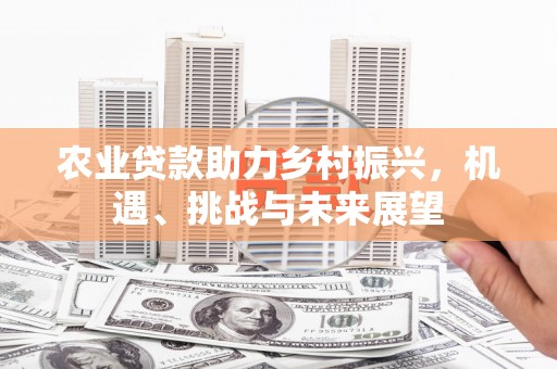 行唐农业贷款助力乡村振兴，机遇、挑战与未来展望