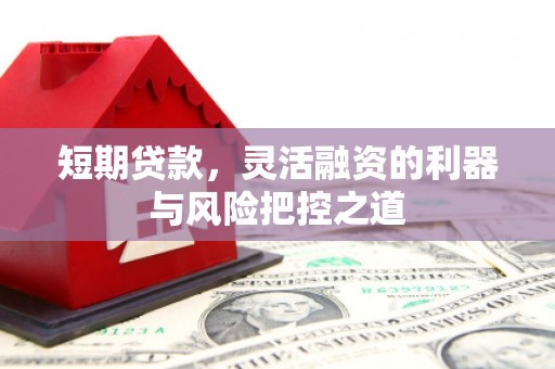 行唐短期贷款，灵活融资的利器与风险把控之道