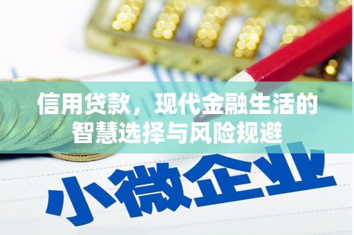 行唐信用贷款，现代金融生活的智慧选择与风险规避