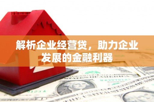 行唐解析企业经营贷，助力企业发展的金融利器