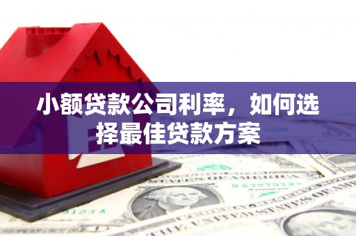 行唐小额贷款公司利率，如何选择最佳贷款方案
