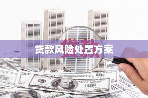 行唐贷款风险处置方案