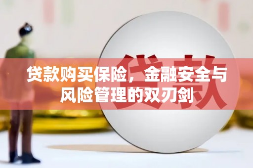 行唐贷款购买保险，金融安全与风险管理的双刃剑