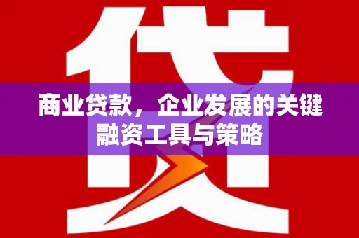 行唐商业贷款，企业发展的关键融资工具与策略