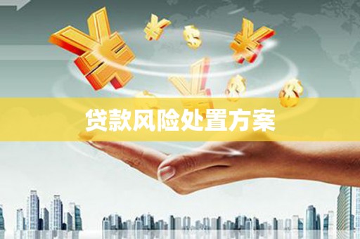 行唐贷款风险处置方案