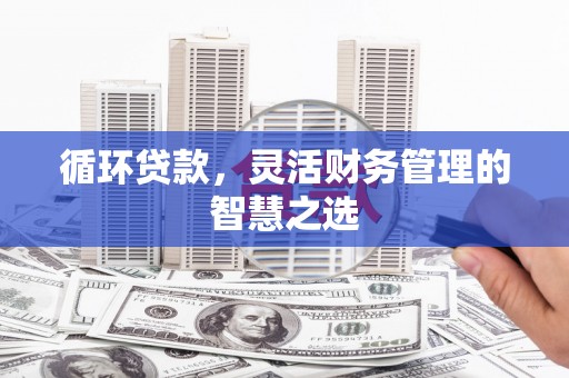 行唐循环贷款，灵活财务管理的智慧之选