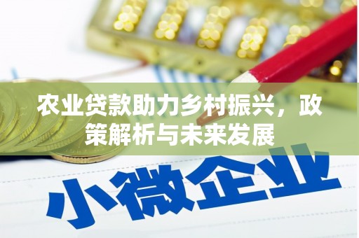 行唐农业贷款助力乡村振兴，政策解析与未来发展