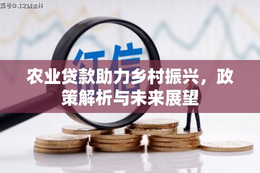 行唐农业贷款助力乡村振兴，政策解析与未来展望