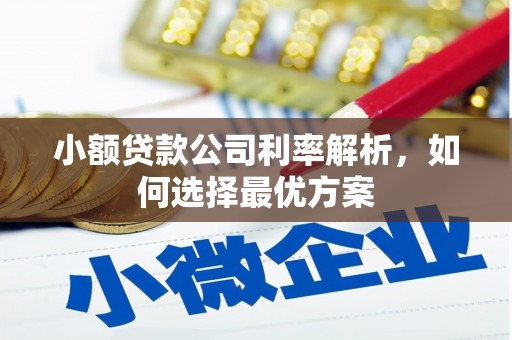 行唐小额贷款公司利率解析，如何选择最优方案