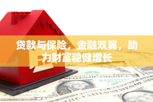 行唐贷款与保险，金融双翼，助力财富稳健增长