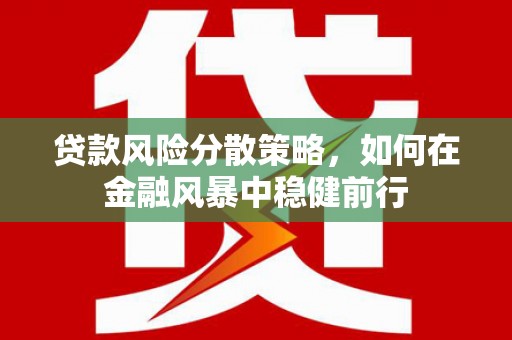 行唐贷款风险分散策略，如何在金融风暴中稳健前行