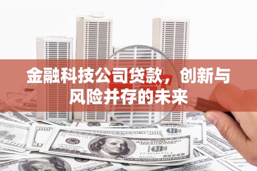 行唐金融科技公司贷款，创新与风险并存的未来