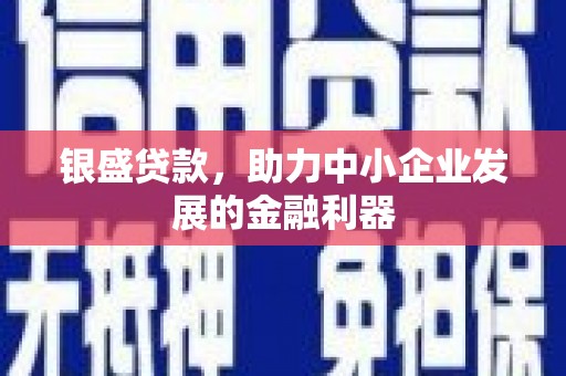 行唐银盛贷款，助力中小企业发展的金融利器