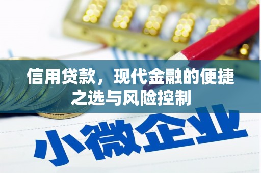 行唐信用贷款，现代金融的便捷之选与风险控制