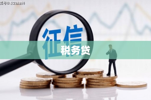 行唐税务贷