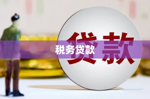 行唐税务贷款