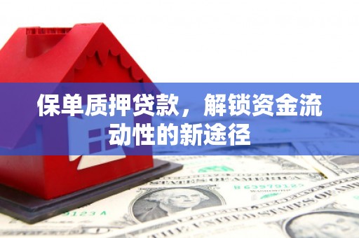 行唐保单质押贷款，解锁资金流动性的新途径