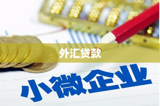 行唐外汇贷款