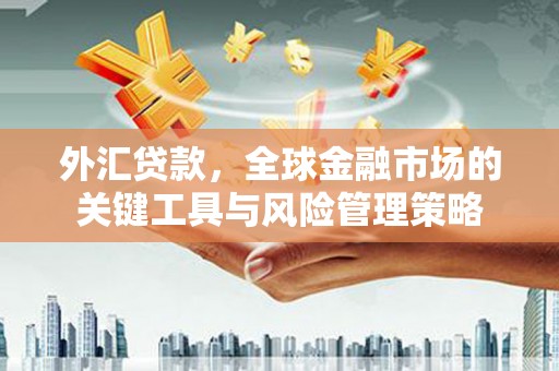 行唐外汇贷款，全球金融市场的关键工具与风险管理策略
