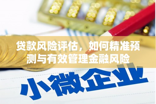 行唐贷款风险评估，如何精准预测与有效管理金融风险