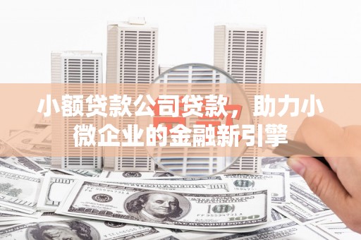 行唐小额贷款公司贷款，助力小微企业的金融新引擎