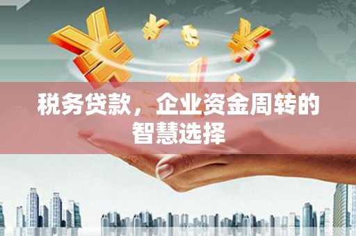 行唐税务贷款，企业资金周转的智慧选择