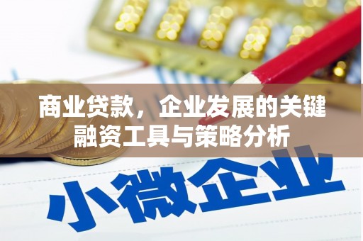 行唐商业贷款，企业发展的关键融资工具与策略分析
