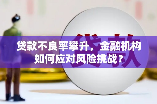 行唐贷款不良率攀升，金融机构如何应对风险挑战？