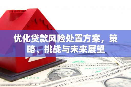 行唐优化贷款风险处置方案，策略、挑战与未来展望