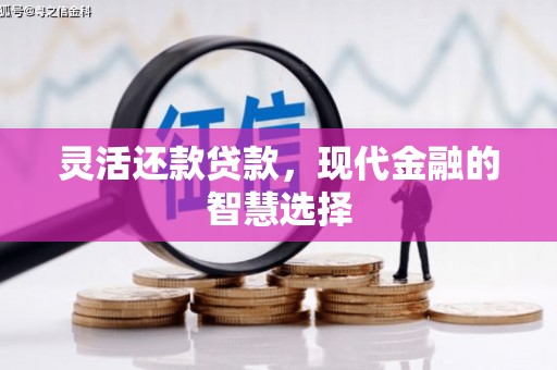 行唐灵活还款贷款，现代金融的智慧选择