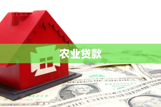 行唐农业贷款