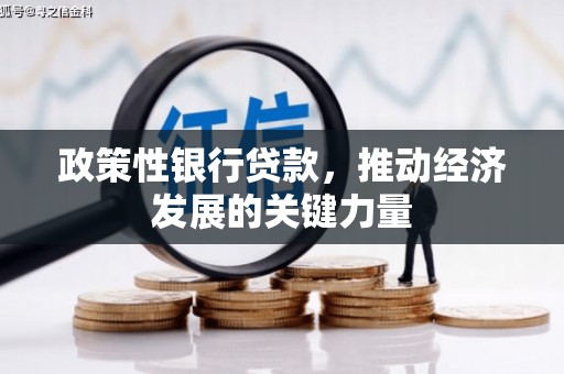 行唐政策性银行贷款，推动经济发展的关键力量