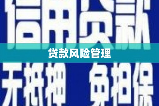 行唐贷款风险管理