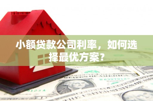 行唐小额贷款公司利率，如何选择最优方案？