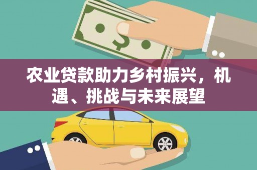 行唐农业贷款助力乡村振兴，机遇、挑战与未来展望