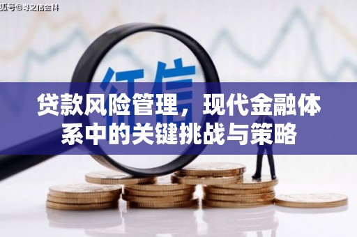 行唐贷款风险管理，现代金融体系中的关键挑战与策略