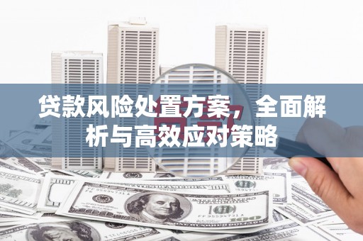 行唐贷款风险处置方案，全面解析与高效应对策略